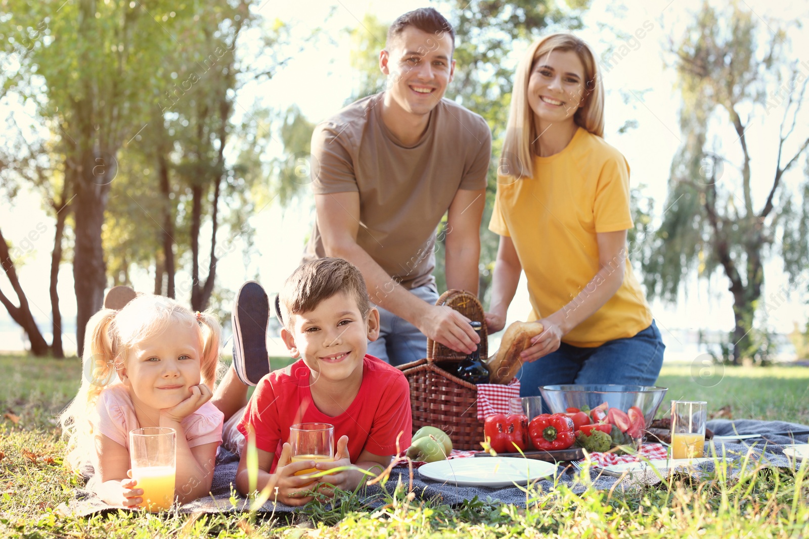 Photo of Happy family having picnic in park on sunny day