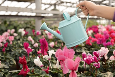 Photo of Woman watering blooming flowers in greenhouse, closeup. Home gardening