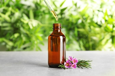 Dripping natural essential oil into bottle near tea tree branch on table
