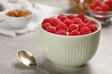 Bowl with delicious yogurt and raspberries on grey table, closeup