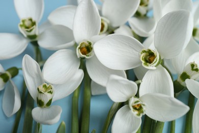 Photo of Beautiful snowdrops on light blue background, closeup