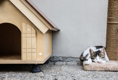 Photo of Cute little cat lying on scratching post near pet house outdoors