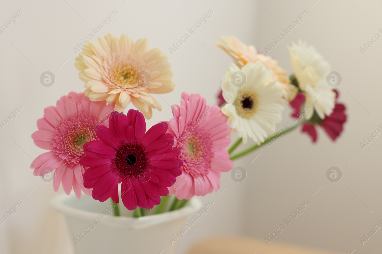 Photo of Vase with beautiful gerbera flowers on blurred background, closeup