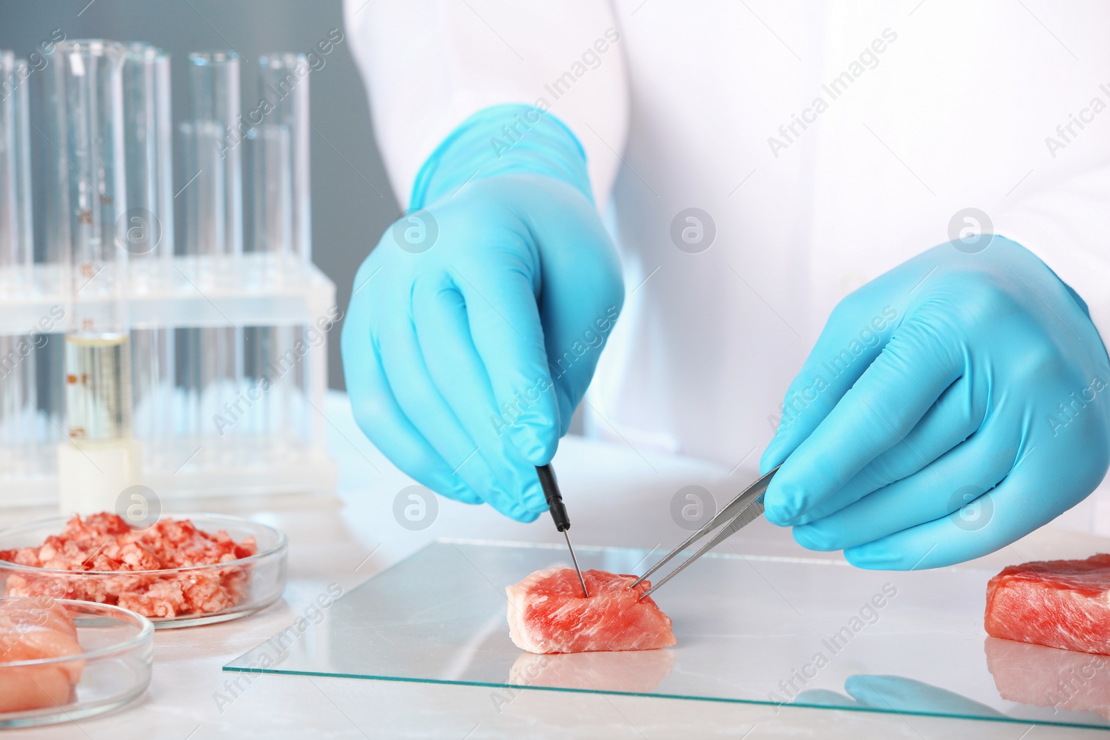 Photo of Scientist inspecting meat sample in laboratory, closeup. Food quality control