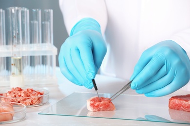 Scientist inspecting meat sample in laboratory, closeup. Food quality control