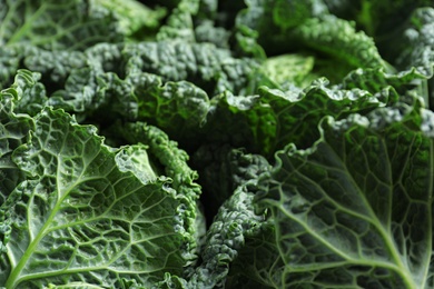 Photo of Fresh green savoy cabbages as background, closeup