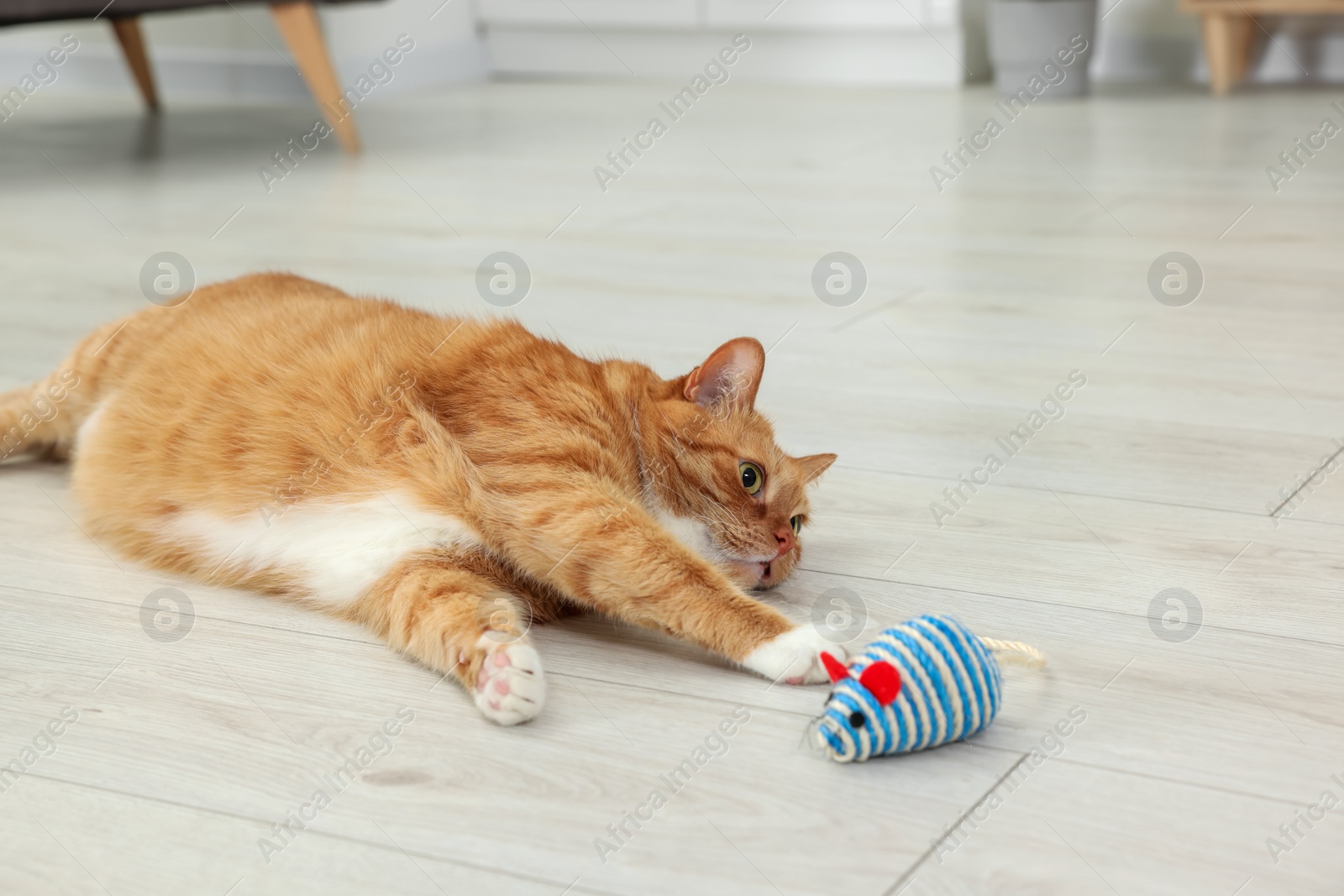 Photo of Cute ginger cat playing with sisal toy mouse at home