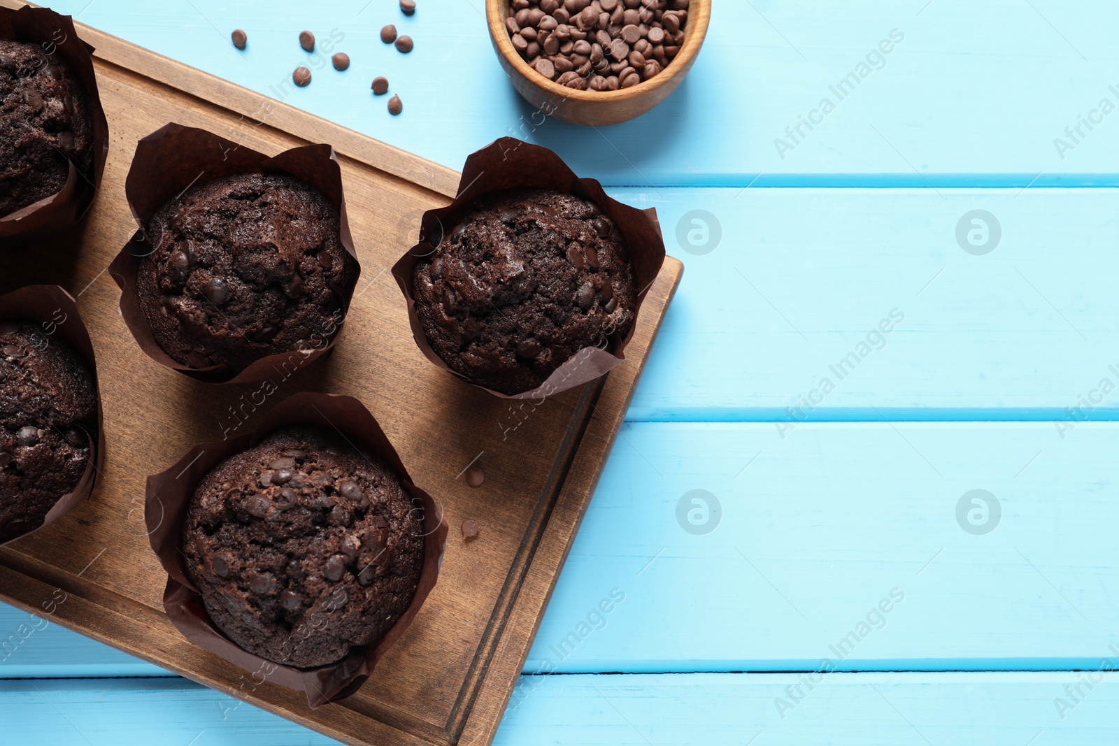 Photo of Tasty chocolate muffins on light blue wooden table, top view. Space for text