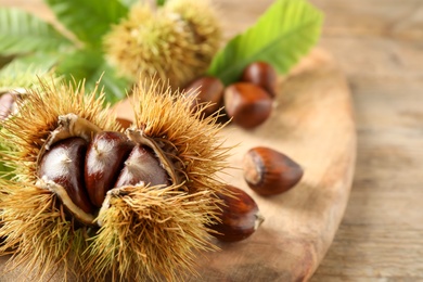 Fresh sweet edible chestnuts on wooden board, closeup