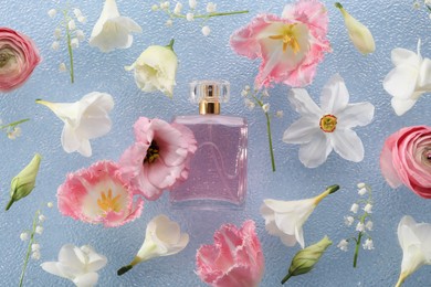 Photo of Luxury perfume and floral decor on light blue plastic surface, flat lay