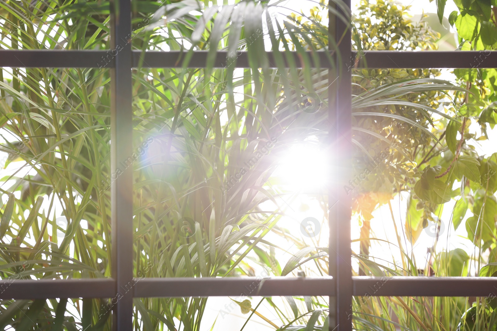 Photo of Beautiful view through window on garden in morning