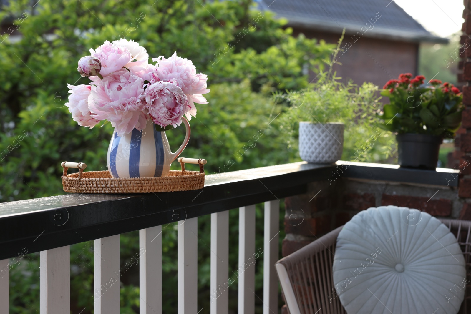 Photo of Balcony garden. Different plants growing on railings outdoors