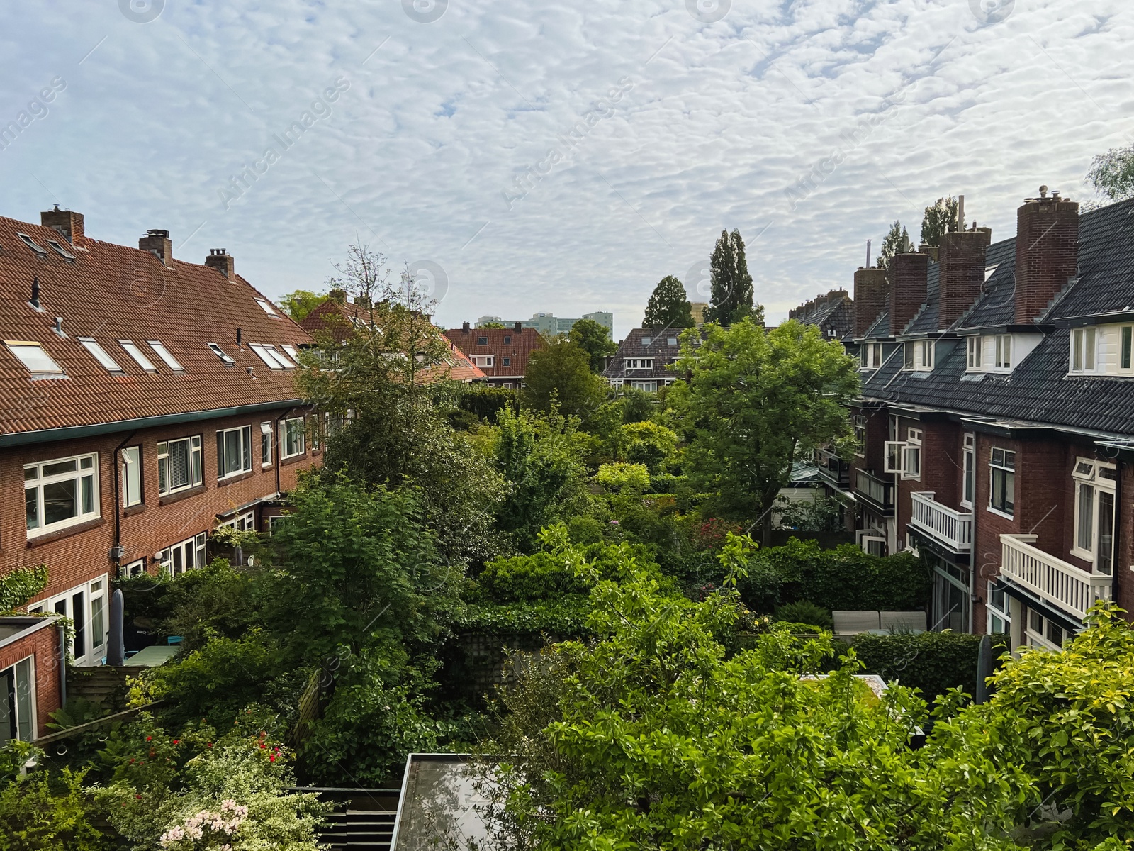 Photo of View on houses and trees. Beautiful cityscape