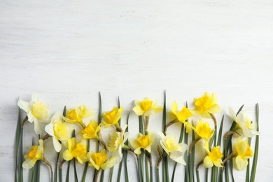 Photo of Flat lay composition with daffodils and space for text on white wooden background. Fresh spring flowers