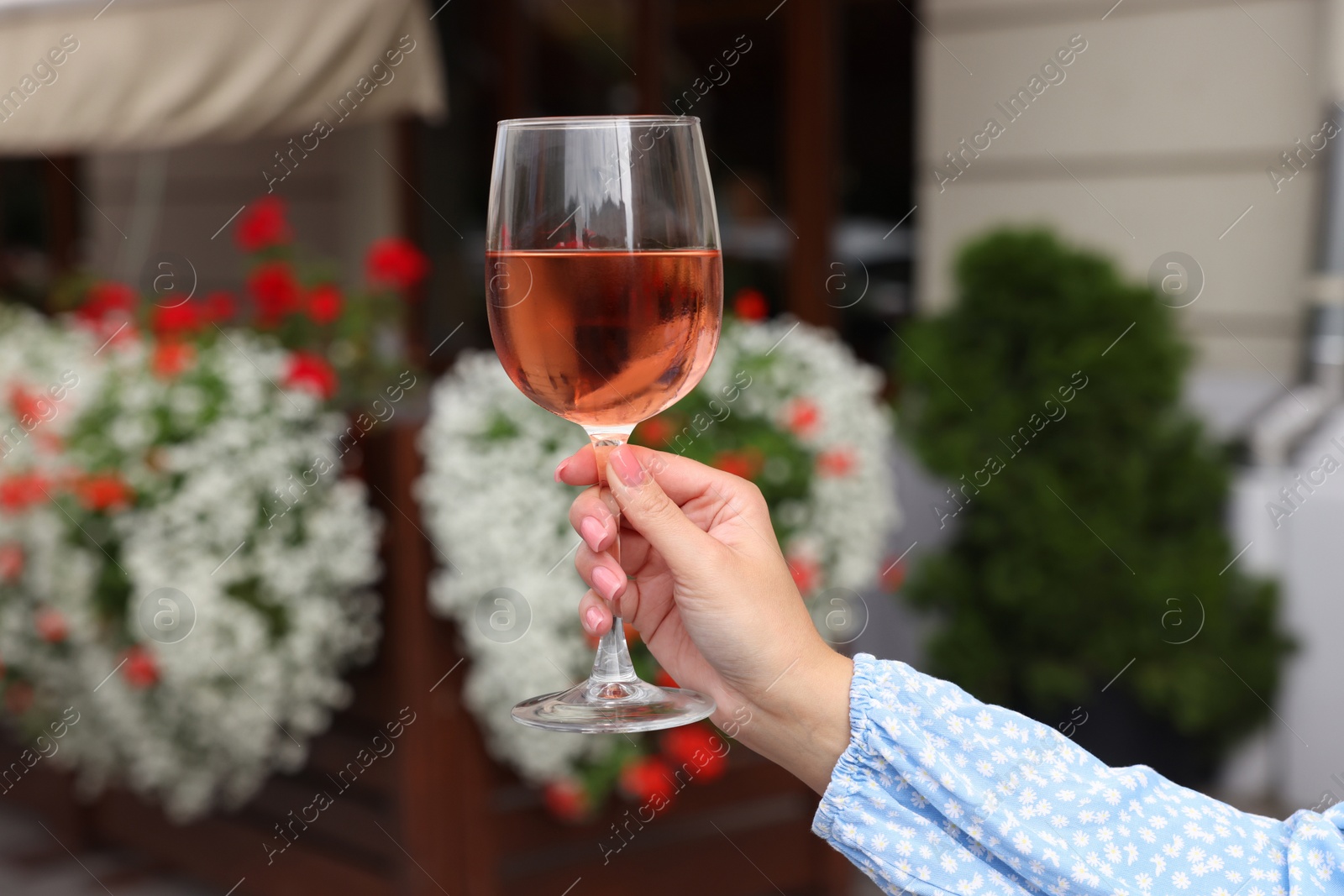 Photo of Woman holding glass of rose wine outdoors, closeup