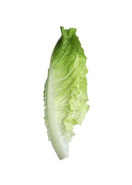 Photo of Fresh leaf of green romaine lettuce isolated on white