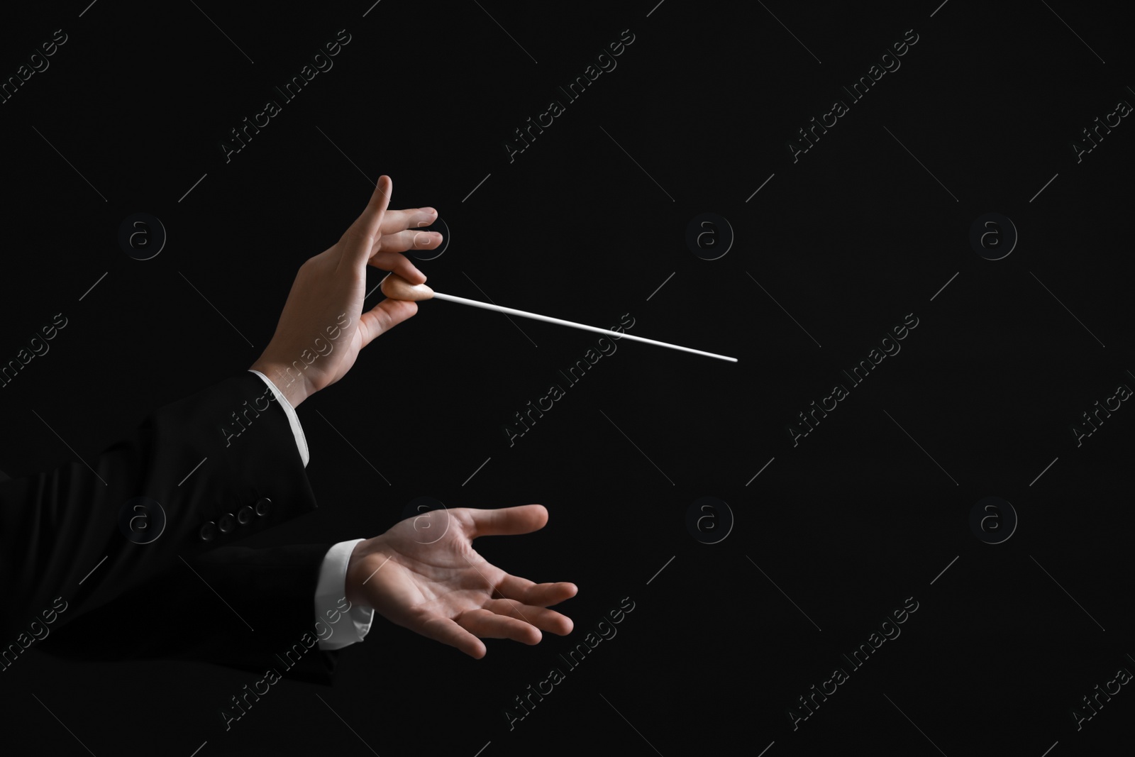 Photo of Professional conductor with baton on black background, closeup. Space for text