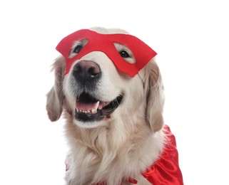 Photo of Adorable dog in red superhero mask on white background