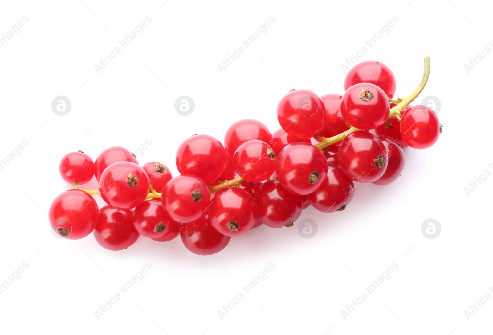 Photo of Delicious ripe red currants isolated on white