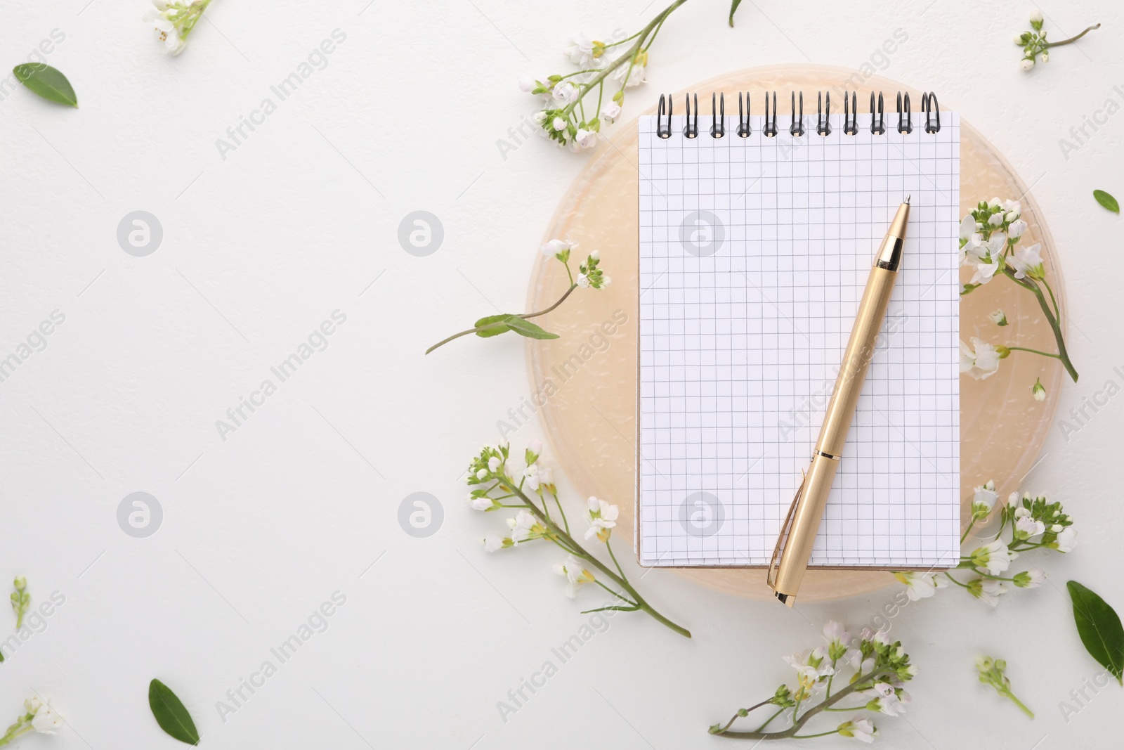 Photo of Guest list. Notebook, pen and beautiful spring tree blossoms on white background, flat lay. Space for text