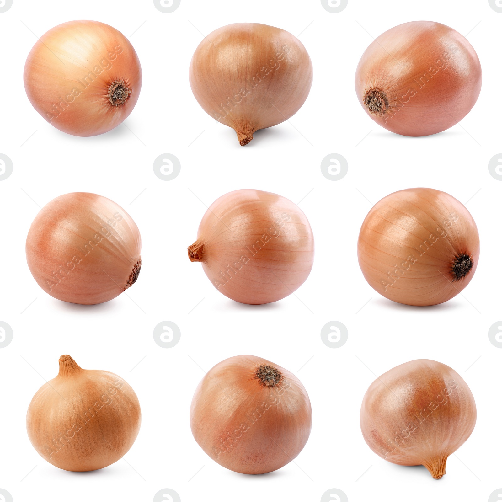 Image of Collage with fresh unpeeled onion bulbs on white background