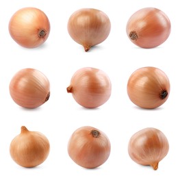 Collage with fresh unpeeled onion bulbs on white background