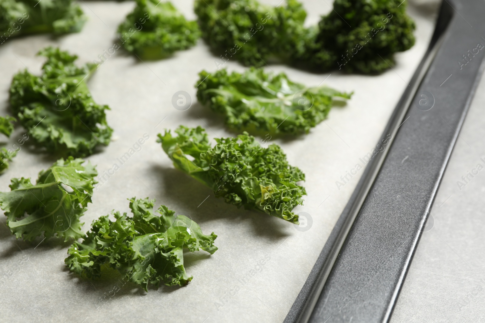 Photo of Raw cabbage leaves on baking sheet, closeup. Preparing kale chips