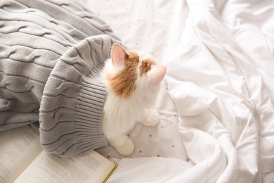 Photo of Cute fluffy cat covered with plaid near book on bed
