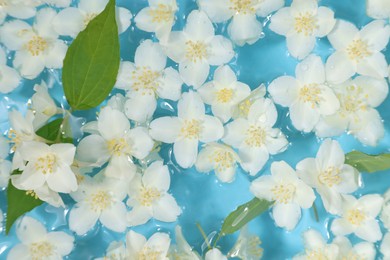 Photo of Beautiful jasmine flowers and green leaves in water on light blue background, top view