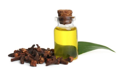 Essential oil and dried cloves on white background