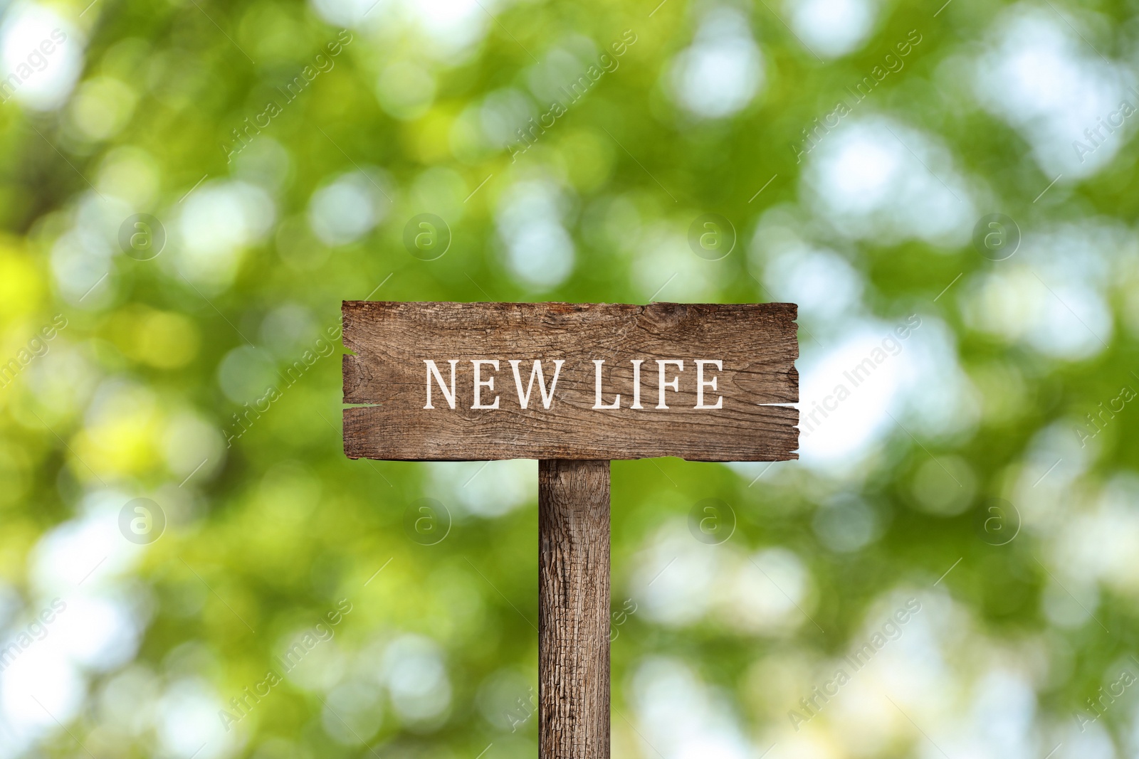 Image of Start to live without alcohol addiction. Wooden signpost with inscription NEW LIFE on blurred green background