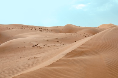 Picturesque landscape of sandy desert on hot day