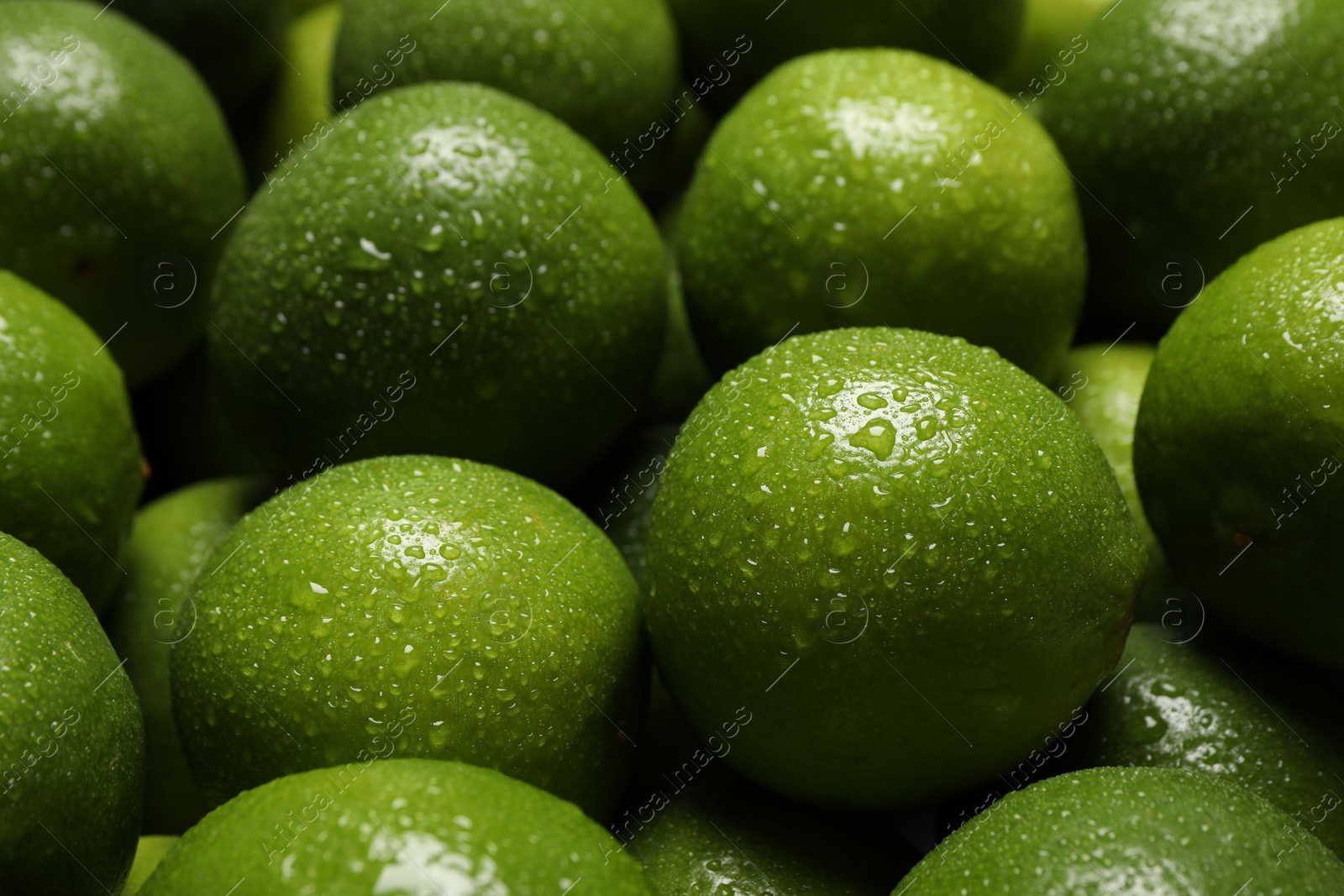 Photo of Fresh ripe limes with water drops as background, closeup