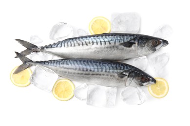 Photo of Two raw mackerels and lemons isolated on white, top view