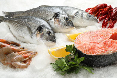 Photo of Fresh fish and different seafood on ice