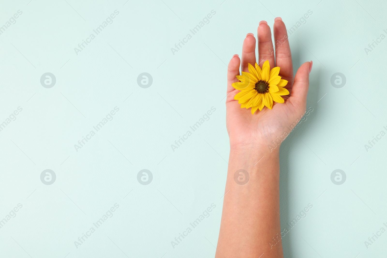 Photo of Woman holding beautiful flower on turquoise background, top view. Space for text