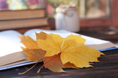 Photo of Book and beautiful leaves as bookmark on wooden table, closeup