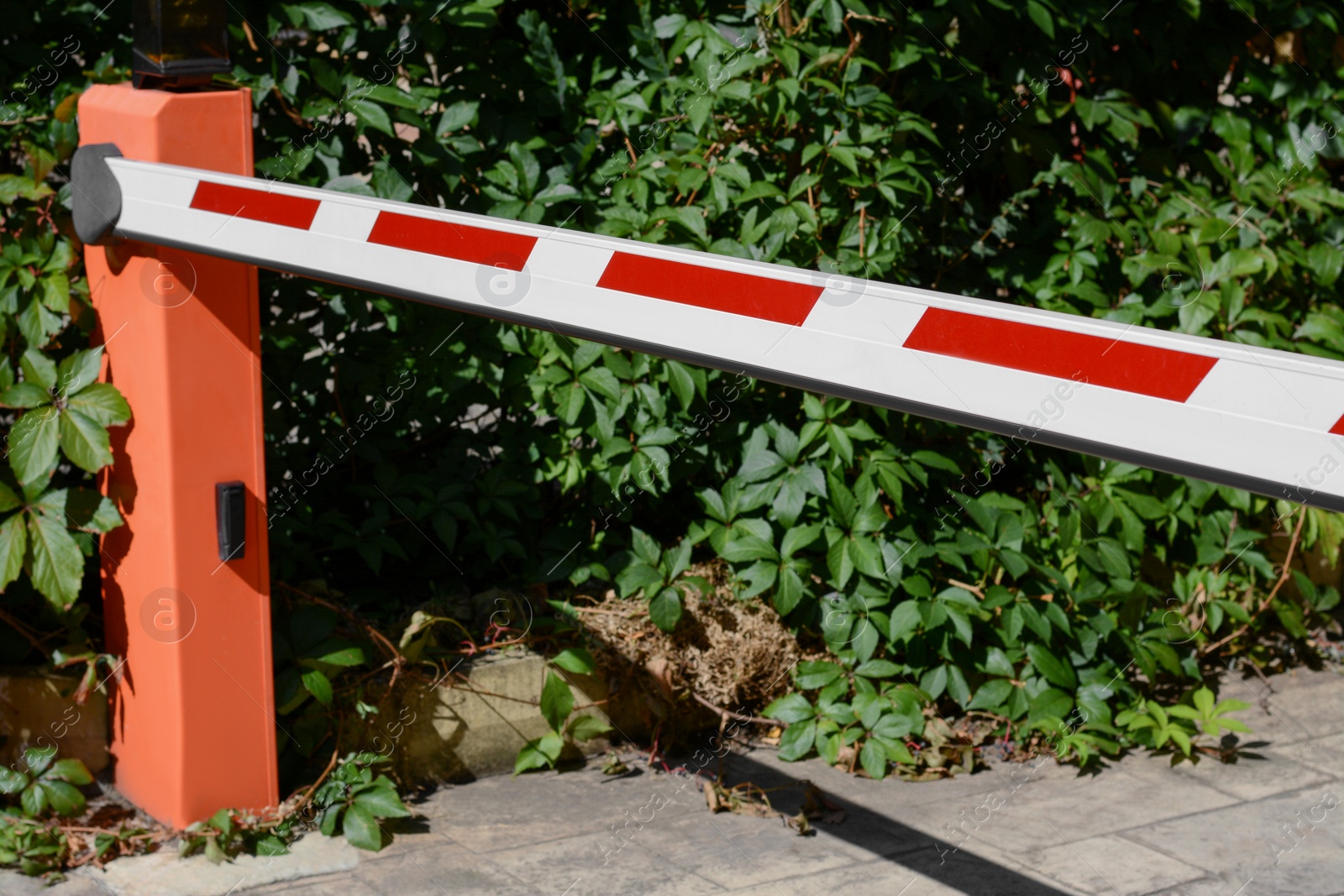 Photo of Closed boom barrier outdoors on sunny day, closeup