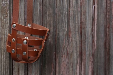 Brown dog muzzle hanging near wooden fence, closeup. Space for text