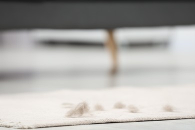 Photo of Pet hair on beige carpet indoors, selective focus