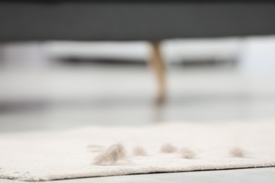 Pet hair on beige carpet indoors, selective focus