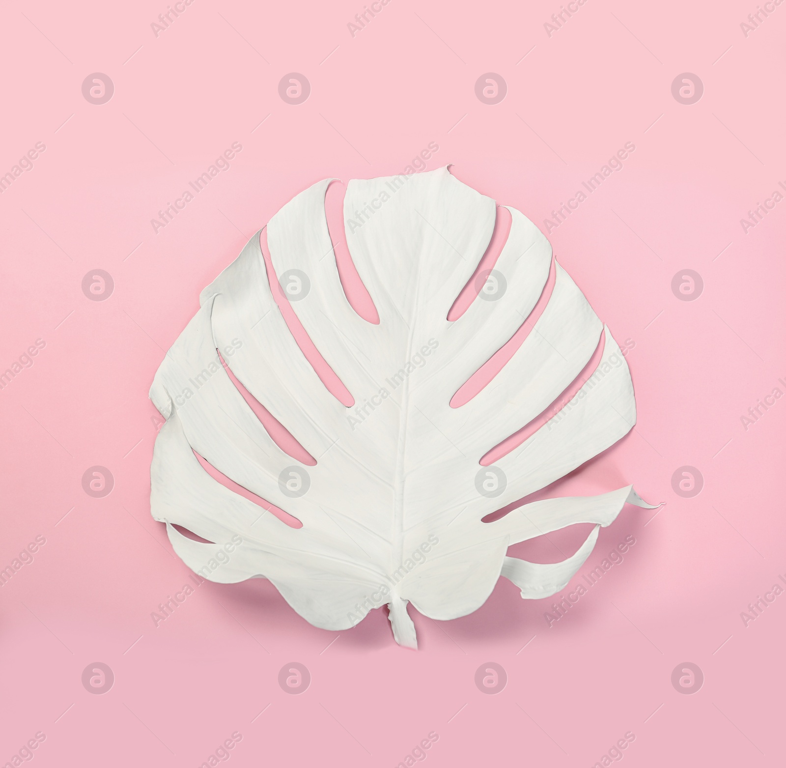 Photo of Painted tropical Monstera leaf on color background, top view