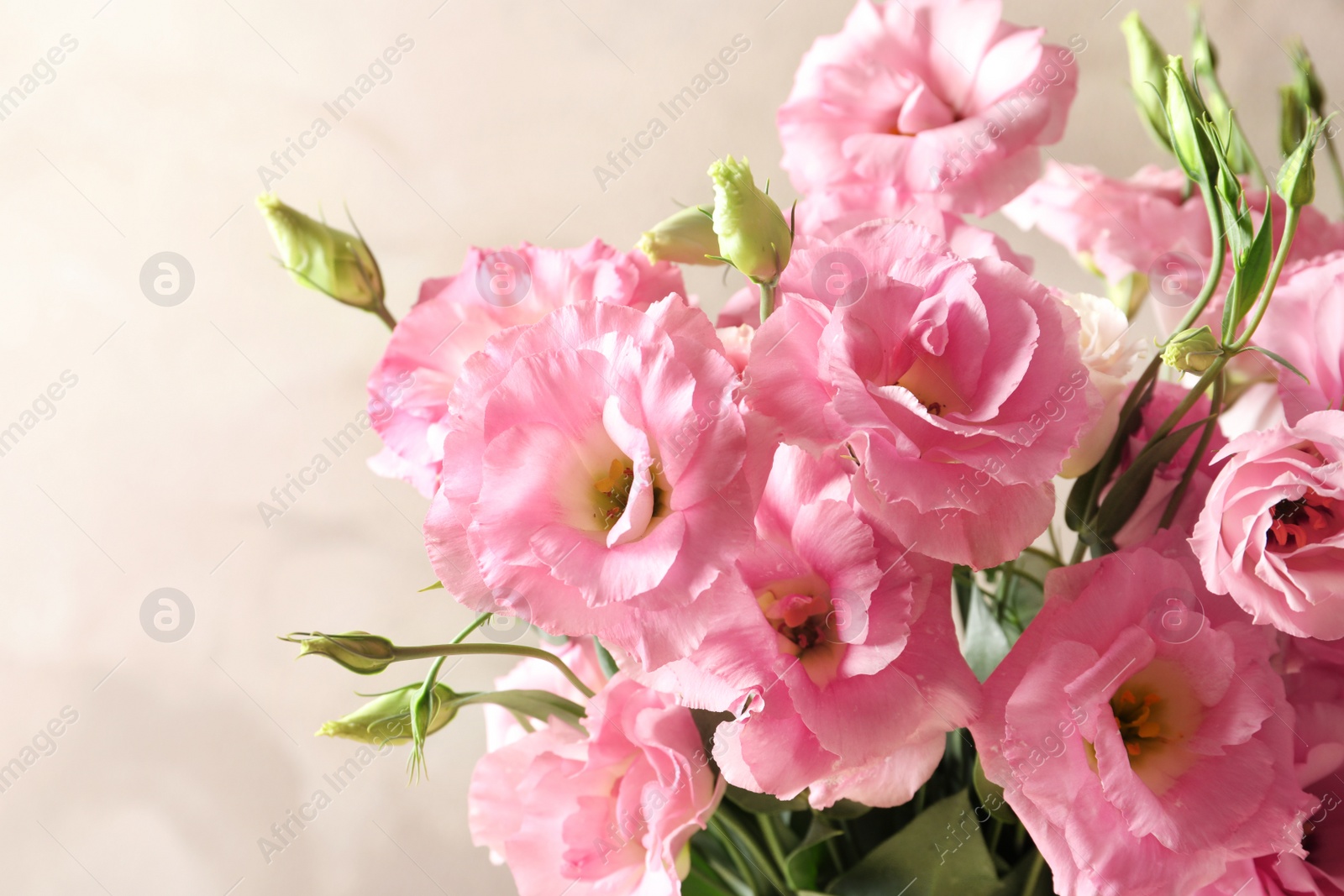 Photo of Beautiful bouquet of Eustoma flowers on color background, close up view