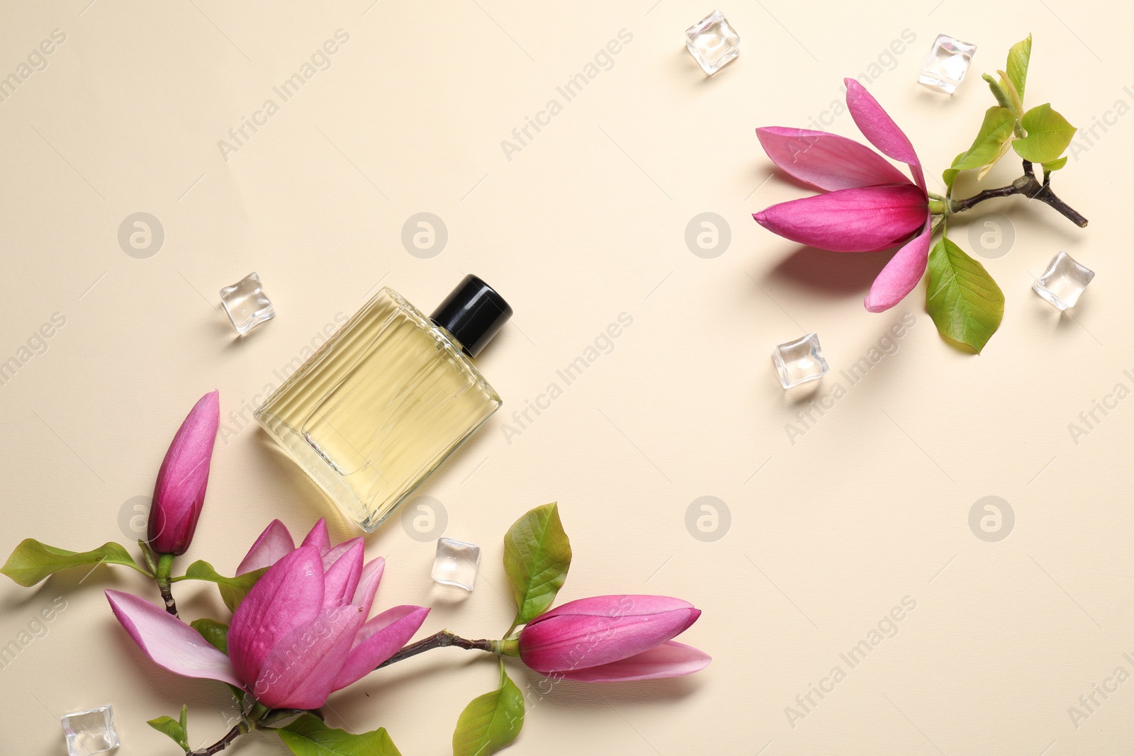 Photo of Beautiful pink magnolia flowers, bottle of perfume and ice cubes on beige background, flat lay