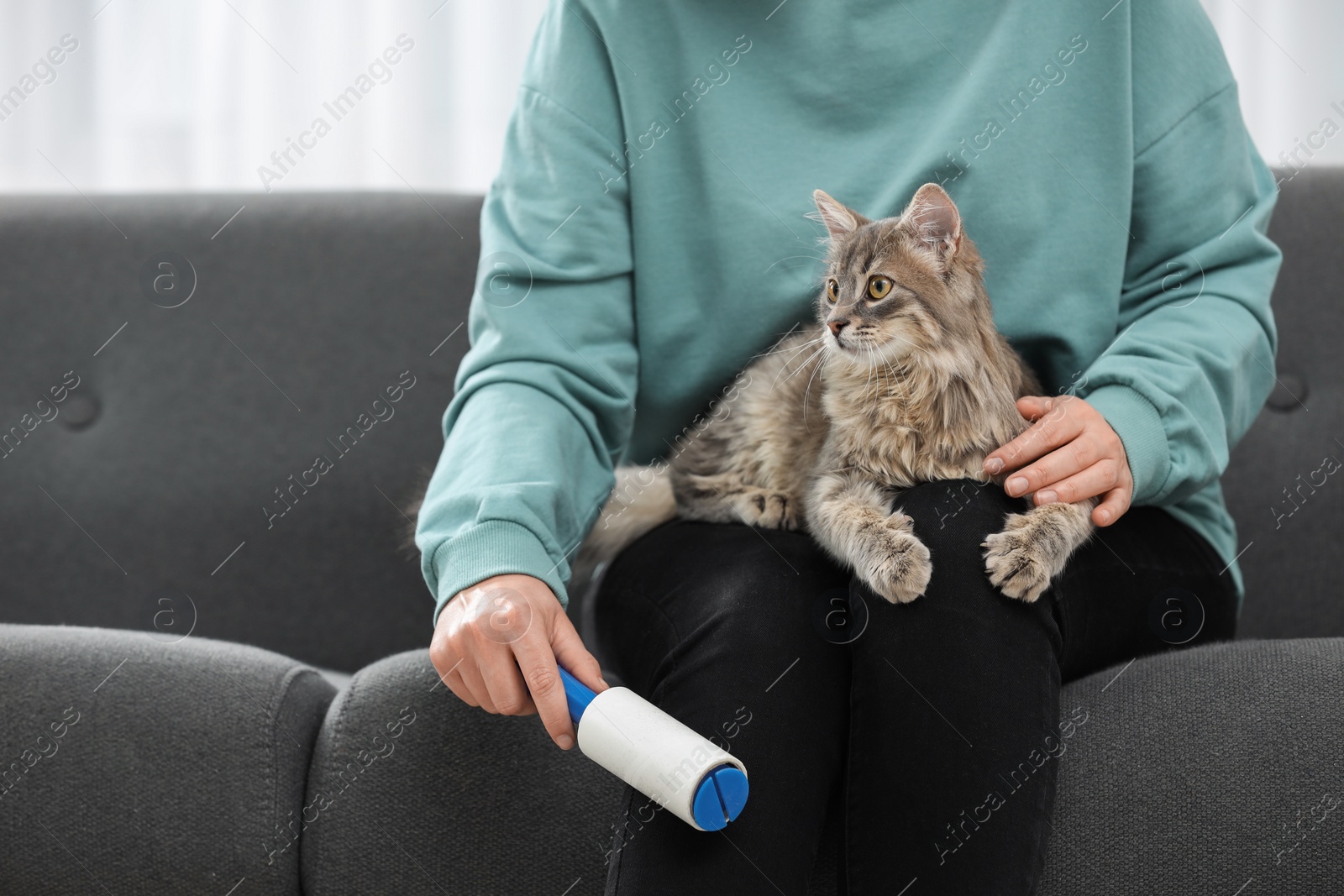 Photo of Pet shedding. Woman with lint roller removing cat`s hair from trousers on sofa at home, closeup