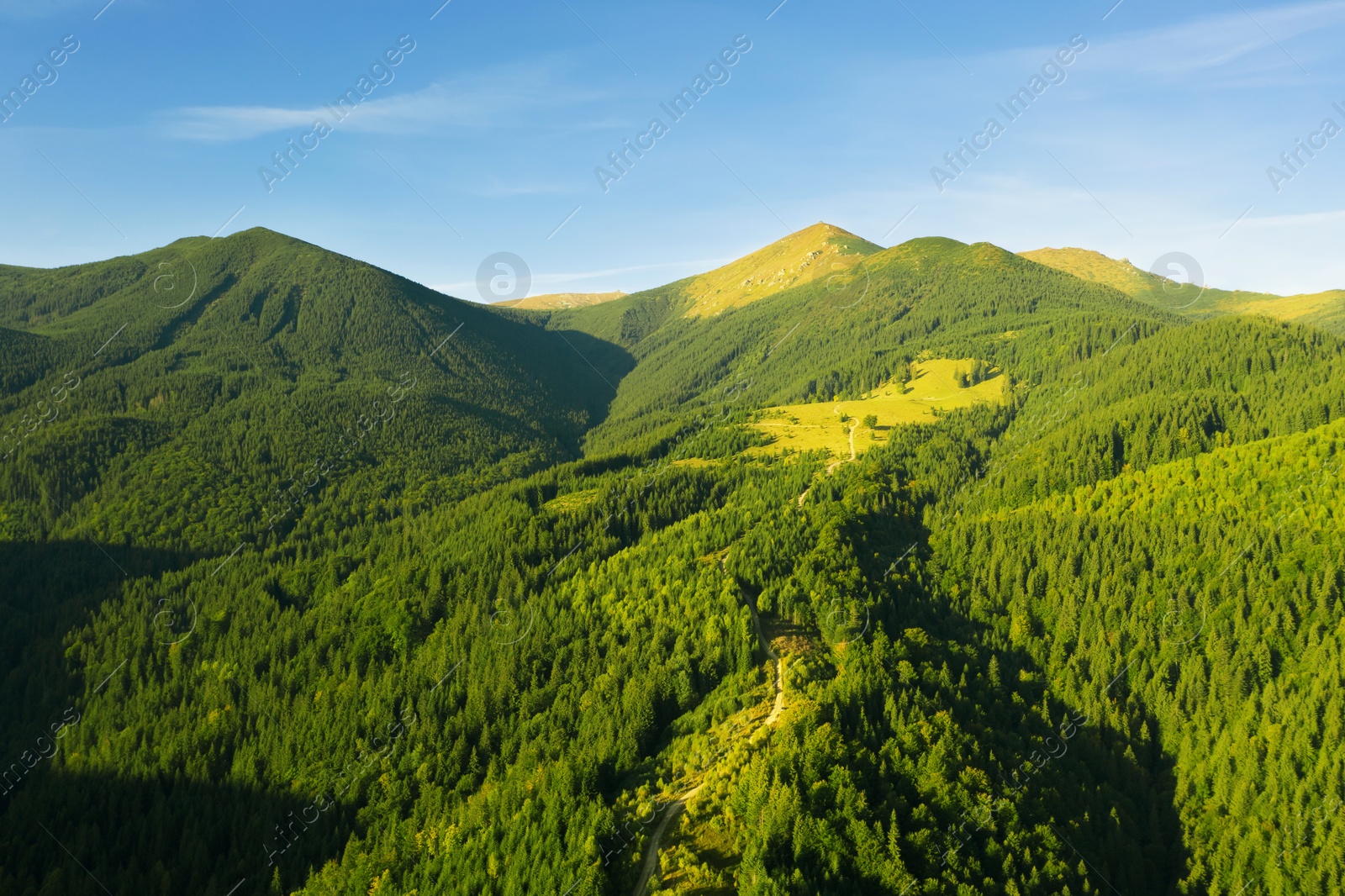 Image of Beautiful mountain landscape with green forest on sunny day. Drone photography