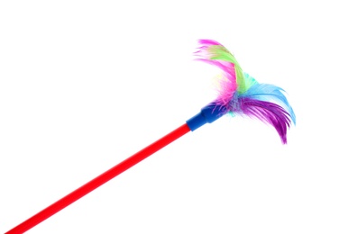 Photo of Feather wand for cat on white background. Pet toys