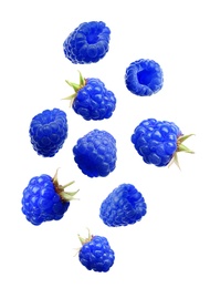 Image of Falling fresh tasty blue raspberries on white background
