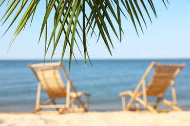 Blurred view of wooden beach sunbeds on sandy shore, focus on palm leaves