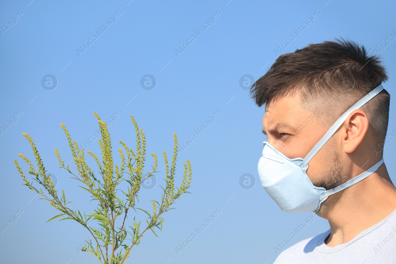 Photo of Man with ragweed branch suffering from allergy outdoors on sunny day